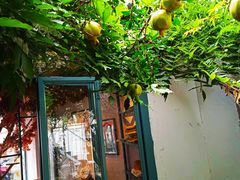 -喵屿·大理花园猫咖