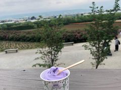 -富田农场