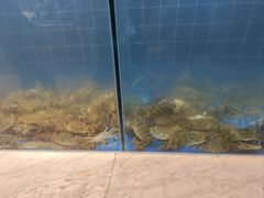 -川骄海鲜自助(亚运村店)
