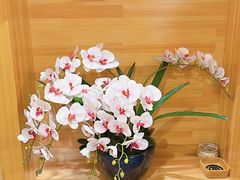 -悦真雅院·四合院·清真私房菜(雍和宫店)