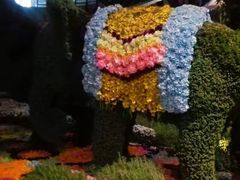 -花之城