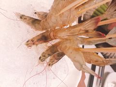 -新一哥粤菜火锅(瑞金店)