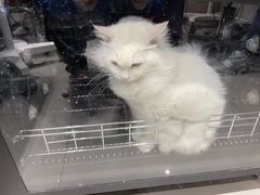 -宠颐生动物医院·小陆分院