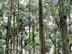 -雁荡山大龙湫景区
