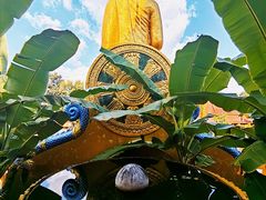 -西双版纳勐泐文化旅游区