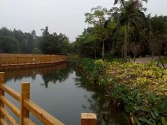 -金山植物公园