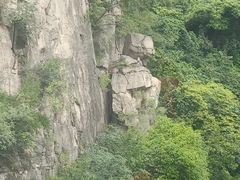 -神农山景区
