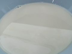 甜豆浆（热）-日月永和中国餐饮名店(凤凰店)