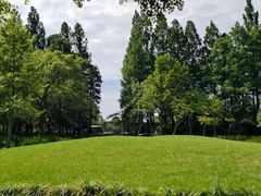 -西湖风景区-江洋畈生态公园