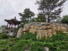 -大兴滨河森林公园