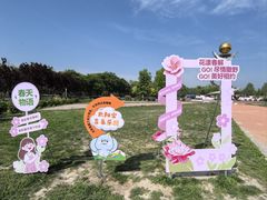-太阳宫公园