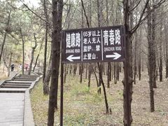 -红螺寺