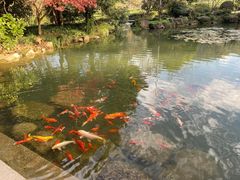 -中国茶叶博物馆(双峰馆区)