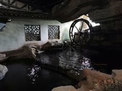 -游龙石文化科普馆