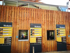 -怀托摩萤火虫洞