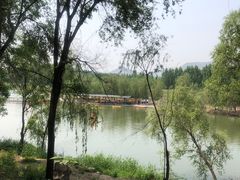 -东方巨龟苑景区