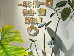 -花菇朵 ll 野生菌锅·精品滇菜(后沙峪店)