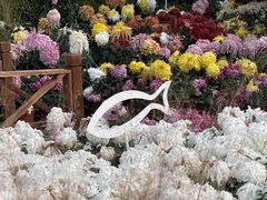 -武汉钻石艺术博物馆