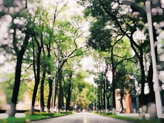-四川大学(望江校区)