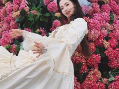 -荷兰花海