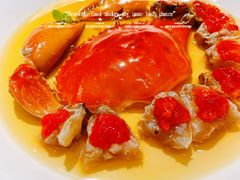 -圆苑(静安寺店)