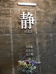 -Tao瑜伽