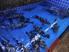 -徐记海鲜(梅溪新天地店)