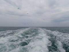-海驴岛(荣成市)