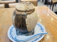 -達揚原味燉品(文明路店)