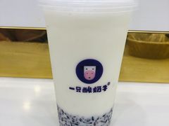 -一只酸奶牛(八一路店)