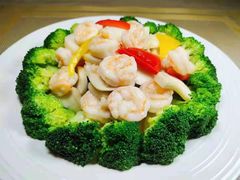 -大班家政月嫂育儿嫂(深圳NO.1店)