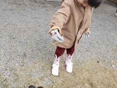 -菊园百果园