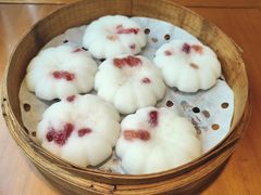 -鸽舞笙平金牌烧鸽子·融合菜(鲁谷店)