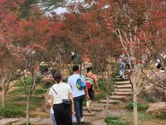 -广州市帽峰山景区