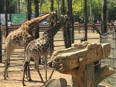 -大连森林动物园