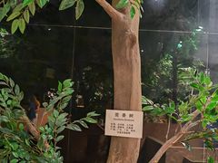 -中国沉香文化博物馆