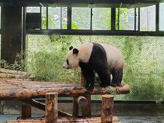 -上海野生动物园