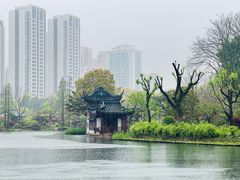 -和平公园