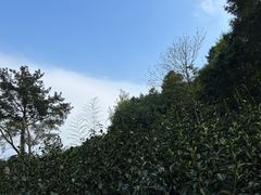 -雨花胜境