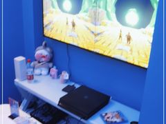 -浣熊部落ps4 ps5 switch 电玩(茶店子店)