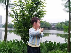 -枫香湖儿童公园