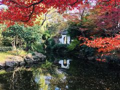 -秋霞圃