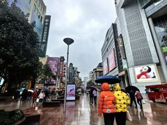 -沈大成(南京东路店)