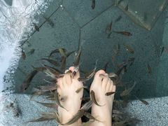 -天目湖御水温泉·度假酒店