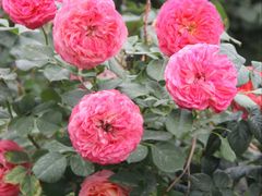 -太阳宫公园
