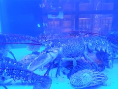 -皇朝会.经典传统粤菜(外滩店)