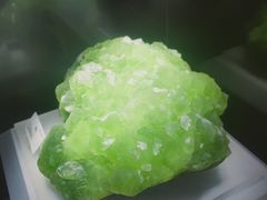 -湖南省地质博物馆