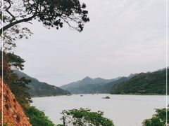 -羚羊峡古栈道森林公园