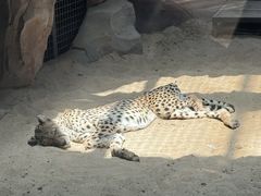 -鄂尔多斯野生动物园