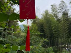-东明山森林公园